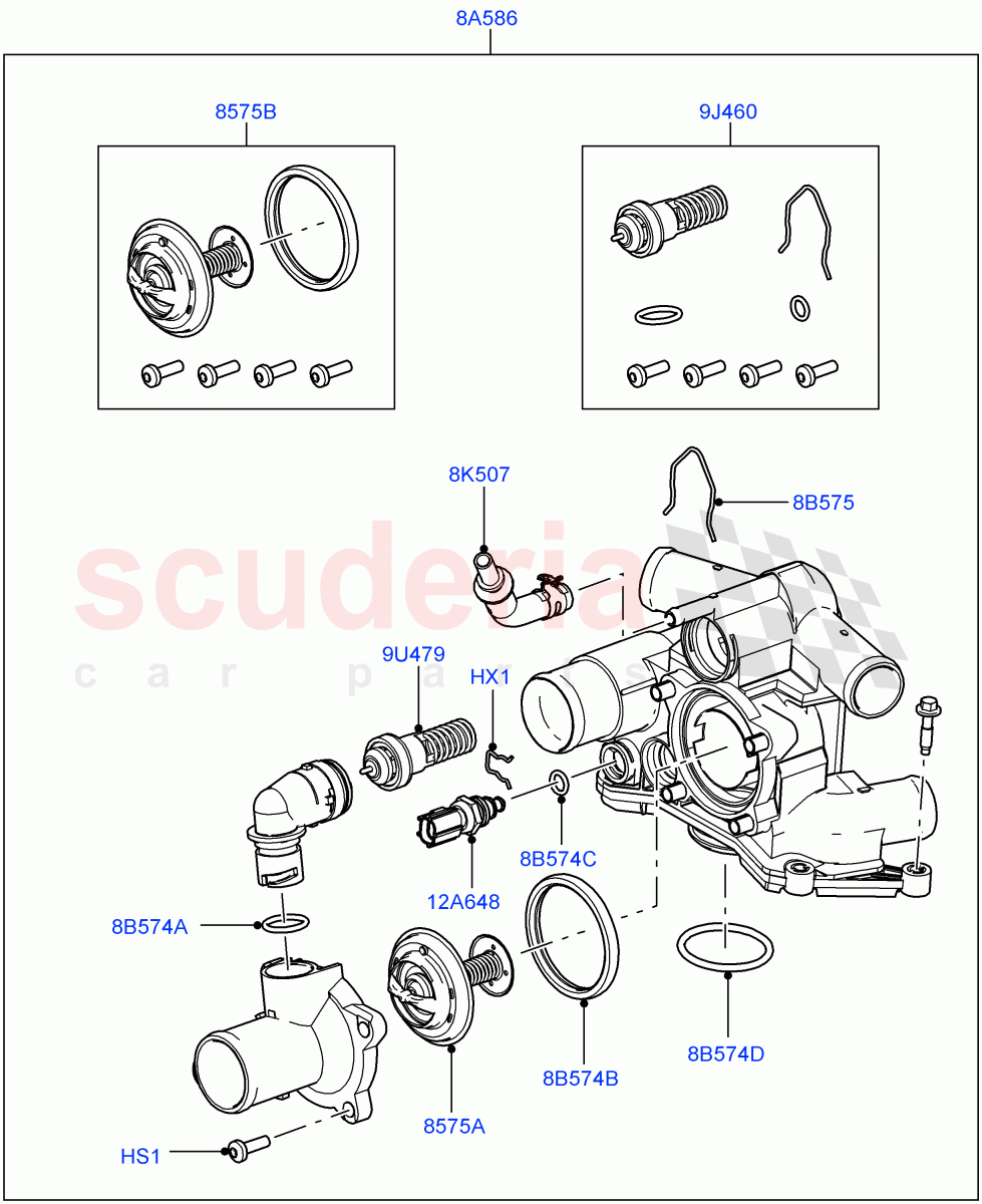 Thermostat/Housing & Related Parts(3.6L V8 32V DOHC EFi Diesel Lion)((V)FROMAA000001) of Land Rover Land Rover Range Rover (2010-2012) [3.6 V8 32V DOHC EFI Diesel]