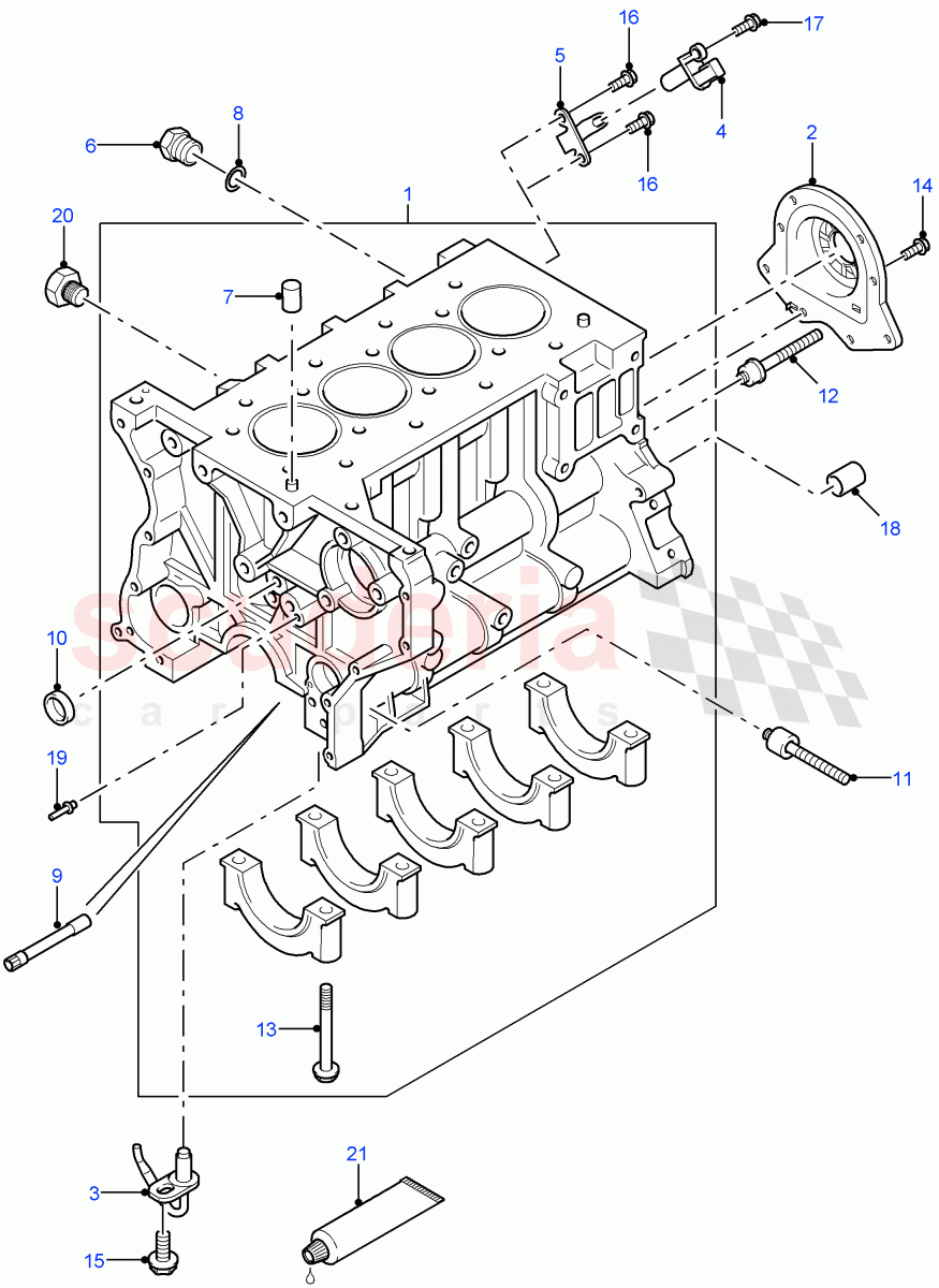 Cylinder Block And Plugs(2.4L Duratorq-TDCi HPCR(140PS)-Puma)((V)FROM7A000001,(V)TOBA999999) of Land Rover Land Rover Defender (2007-2016)