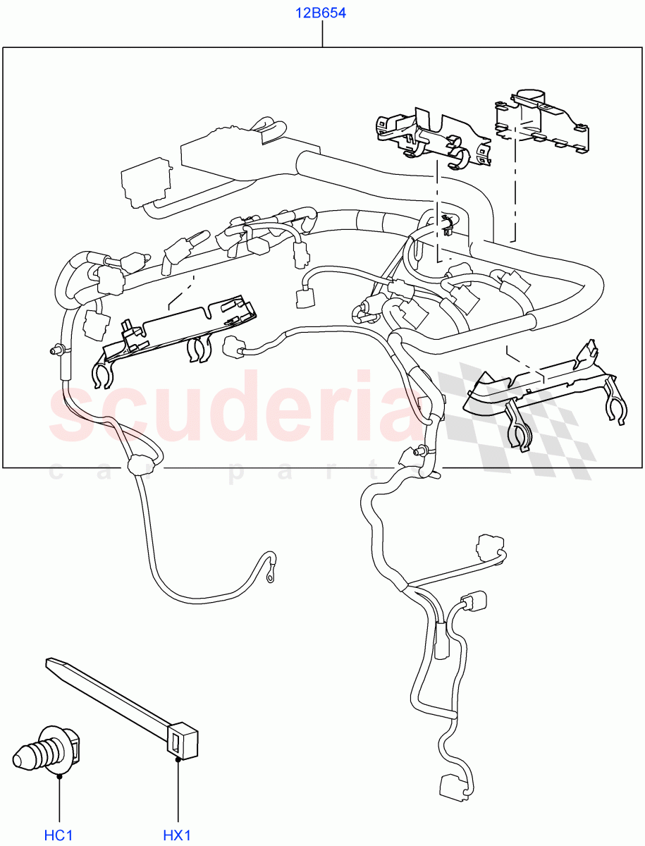 Wiring Clamps(Lion Diesel 2.7 V6 (140KW))((V)TO9A999999) of Land Rover Land Rover Range Rover Sport (2005-2009) [2.7 Diesel V6]