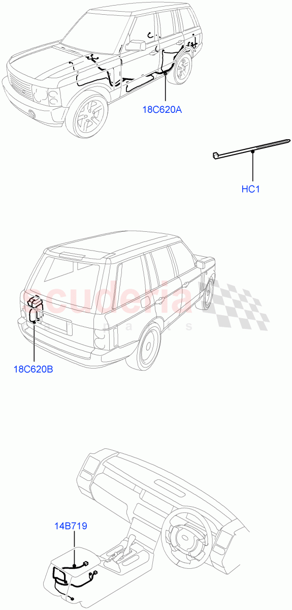 Electrical Wiring - Body And Rear(With Phone, Navigational System, With TV Antenna, Radio, Center Console)((V)FROMAA000001) of Land Rover Land Rover Range Rover (2010-2012) [5.0 OHC SGDI NA V8 Petrol]