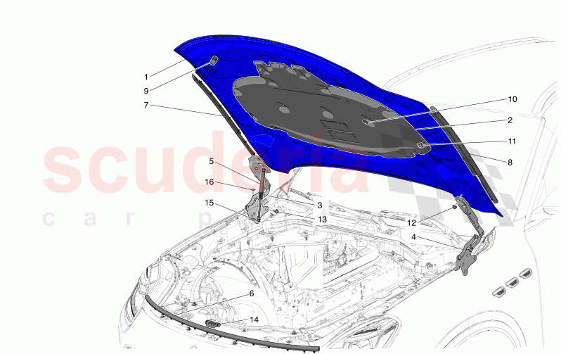 FRONT LID of Maserati Maserati Grecale GT Automatic 2.0 T4 4WD 300HP MHEV
