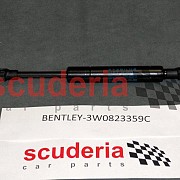 Gas Strut for 