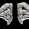 Photo of Cargraphic Manifold Set for the Porsche 991.1 Carrera/S/GTS - Image 4