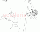 Rear Seat Belt Assembly