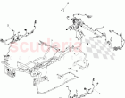 Body Harness (Coupe)