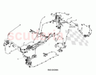Body Harness (Coupe)