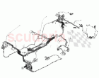 Body Harness Assembly - COUPE