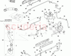 Coolant Hoses