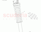 Rear Spring Assembly