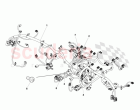IP Harness Assembly