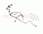 Harness Assembly, Transmission - AUTO