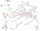 Coolant Hoses