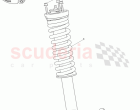 Rear Spring Assembly