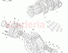 Differential- MANUAL