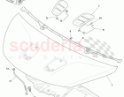 Hood Assembly