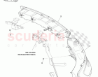Rear Tail Lamp Assembly