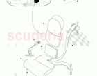 Rear Seats and Belts