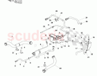 Coolant Hoses and Reservoirs