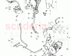 Exhaust gas turbocharger, oil return line, oil pressure line