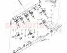 fuel rail, injector, fuel hose