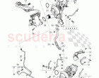 Exhaust gas turbocharger, oil return line, oil pressure line, water tube