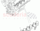 spark plug, ignition coil with spark plug connector