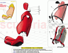 SEATS AND SEAT BELTS