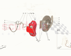 FRONT SUSPENSION - CALLIPERS AND DISCS