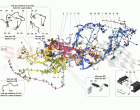 LOW VOLTAGE WIRING HARNESSES