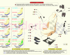 FRONT SEATS - SEATS AND GUIDES