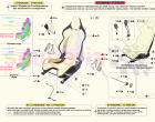 FRONT SEATS - RACING SEAT