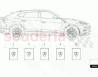 1 SET VEHICLE LITERATURE