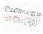 Main Shaft Gears