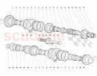 Driven Shaft Gears