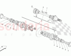 DIFFERENTIAL AND REAR AXLE SHAFTS