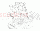 FRONT LID