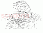 Front Lid