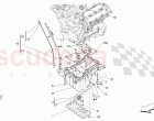 LUBRICATION SYSTEM: CIRCUIT AND COLLECTION