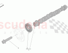 CYLINDER HEAD CAMSHAFTS