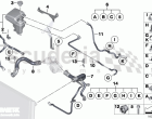 Radiator - coolant hoses