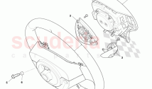 Steering Wheel Assembly