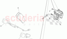 Rear Seat Belt Assembly