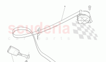 Rear Seatbelt Assembly
