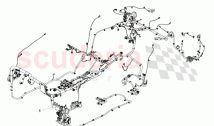 Body Harness (Coupe)
