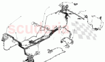 Body Harness Assembly - COUPE