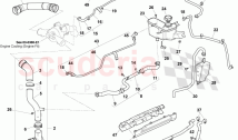 Coolant Hoses