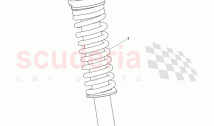 Rear Spring Assembly