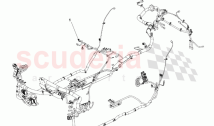 Harness, Body