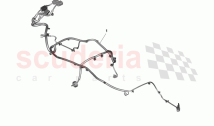 Harness Assembly, Transmission - AUTO