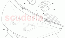 Hood Assembly